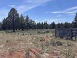 15534 Fishhole Creek Road - Photo 52