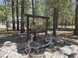51814 Black Pine Way - Photo 2