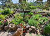 65580 Sisemore Road - Photo 47