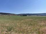 19019 Drazil Road - Photo 25