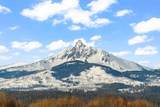 13400 Foxtail #82 - Photo 23
