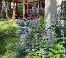 54949 Mallard Drive - Photo 85