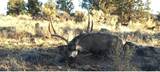 87754 Hwy 140 - Photo 20