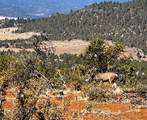 87754 Hwy 140 - Photo 25