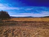 87754 Hwy 140 - Photo 29