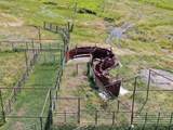87754 Hwy 140 - Photo 4