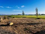 26780 Austin Road - Photo 5