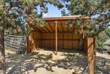 12660 Wheat Grass Road - Photo 39