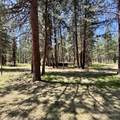 35819 Chiloquin Road - Photo 3