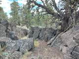 16162 Quail Road - Photo 31