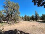 16162 Quail Road - Photo 33