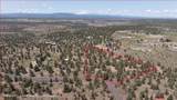 16162 Quail Road - Photo 36