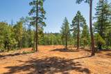 8797 Evans Creek Road - Photo 31