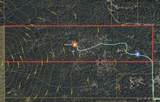 8797 Evans Creek Road - Photo 36