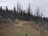  Oregon Pines Road - Photo 4