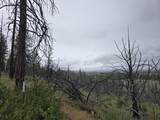  Oregon Pines Road - Photo 5