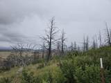  Oregon Pines Road - Photo 6