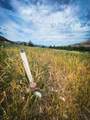 59683 Hwy 26 - Photo 36