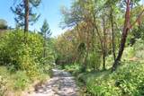 2231 Humbug Creek Road - Photo 75