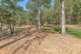 3755 Hosmer Lane - Photo 44