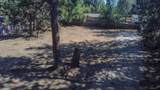 60890 Alpine Drive - Photo 8