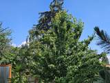2030 Van Ness Avenue - Photo 33