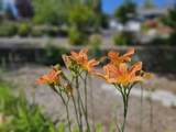 2030 Van Ness Avenue - Photo 43