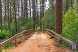 12302 Summer Lane - Photo 39
