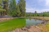 12302 Summer Lane - Photo 60
