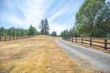 1625 Crow Road - Photo 33