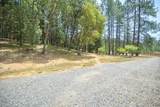 1625 Crow Road - Photo 41
