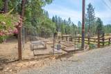 1625 Crow Road - Photo 47