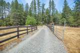1625 Crow Road - Photo 48