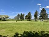 57363 Christmas Tree Road - Photo 34