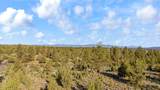 60360 Horse Butte Road - Photo 55