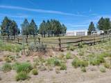 57580 Fall Road - Photo 19