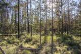 55015 Tamarack Road - Photo 11
