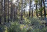 55015 Tamarack Road - Photo 9