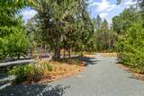 3806 Jumpoff Joe Creek Road - Photo 40