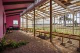 25800 Alfalfa Market Road - Photo 16