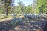  Murrelet Rd Lot 727 - Photo 6