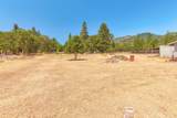 114 Tracy Drive - Photo 43