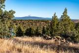 8279 Teater Avenue - Photo 42