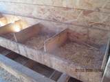 15508 Stagecoach - Photo 18