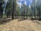 15188 Pyrola Street - Photo 41