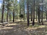 15188 Pyrola Street - Photo 42
