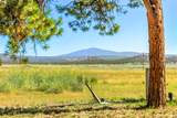 17707 Skeen Ranch Road - Photo 4