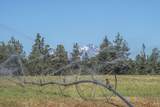 63610 Deschutes Market Road - Photo 24