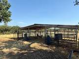 12373 Duggan Road - Photo 3