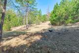 4050 Placer Road - Photo 35